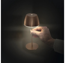 Eine Hand hält eine kleine Tischleuchte mit plissiertem Lampenschirm.