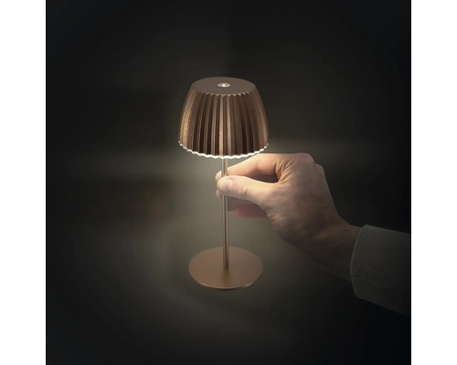 Eine Hand hält eine kleine Tischleuchte mit plissiertem Lampenschirm.