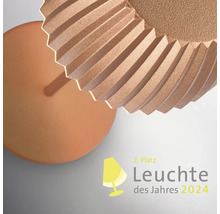 Leuchte des Jahres 2024 Auszeichnung für eine Lampe