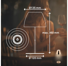 Skizze einer Tischleuchte mit den Maßangaben Durchmesser 135 Millimeter, Durchmesser 120 Millimeter und maximale Höhe 360 Millimeter