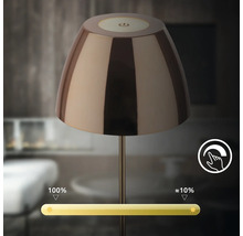 Tischleuchte mit Touchdimmer zur Einstellung der Lichtintensität