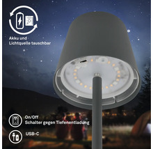 Tischleuchte mit Akku und austauschbarer Lichtquelle, Ein- und Ausschalter gegen Tiefenentladung, USB-C Anschluss
