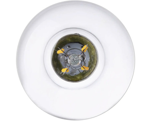 Nahaufnahme einer klaren Glühbirne