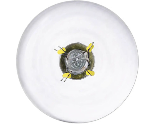 Ampoule à incandescence en verre clair