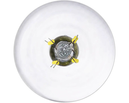 Gros plan d''une ampoule montrant l''intérieur et les broches de connexion