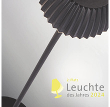 Leuchte des Jahres 2024 Auszeichnung