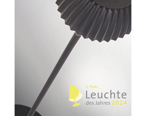 Leuchte des Jahres 2024 Auszeichnung