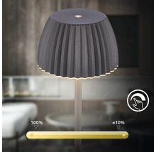 Tischleuchte mit Dimmfunktion zur Anpassung der Helligkeit