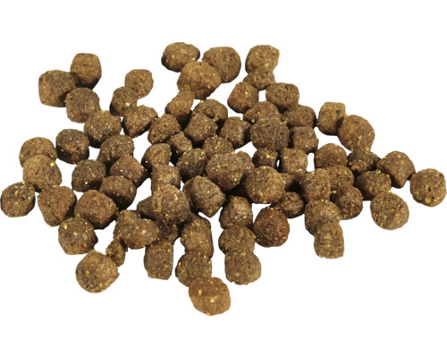 Tas de nourriture sèche pour chiens