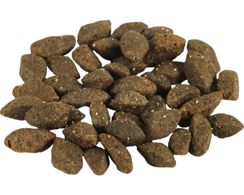 Haufen Hunde Trockenfutter