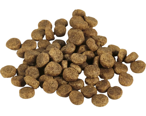 Tas de nourriture sèche pour chiens