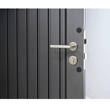 Gerätehaus biohort HighLine H2 Standardtür 275 x 195 cm silber-metallic