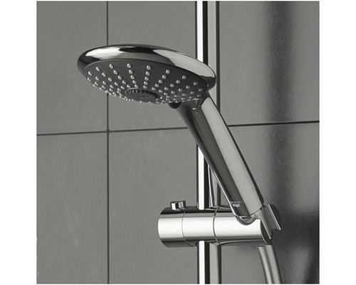 Pomme de douche avec support