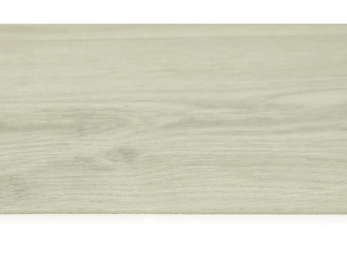 Nahaufnahme eines Bodenbelags mit Holzstruktur