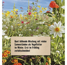 Blumenwiese mit einer bunten Mischung verschiedener Blumen und einem Schild mit Informationen zur Saatgutmischung