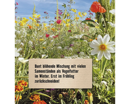 Blumenwiese mit einer bunten Mischung verschiedener Blumen und einem Schild mit Informationen zur Saatgutmischung