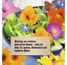 Essbare Blütenmischung im Salat zur Dekoration von Speisen und Blütensalaten