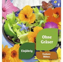 Blumensalat mit essbaren Blüten in Schüssel, Hinweis einjährig und ohne Gräser