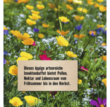 Blumenwiese mit Schild und dem Text: Dieses üppige artenreiche Insektenbuffet bietet Pollen, Nektar und Lebensraum vom Frühsommer bis in den Herbst.