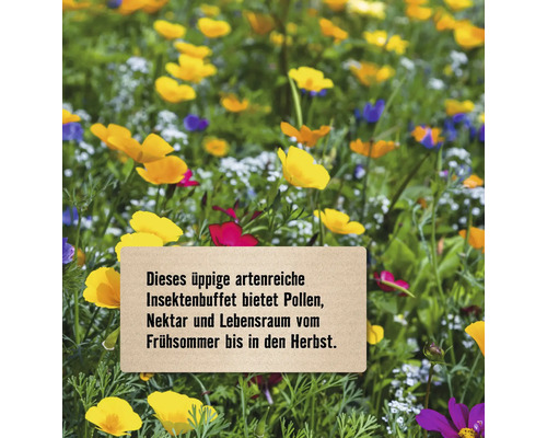 Blumenwiese mit Schild und dem Text: Dieses üppige artenreiche Insektenbuffet bietet Pollen, Nektar und Lebensraum vom Frühsommer bis in den Herbst.