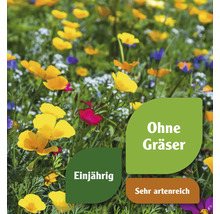 Blumenwiese mit einjährigen, artenreichen Blumen ohne Gräser
