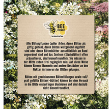 Informationen zu bienenfreundlichen Pflanzen