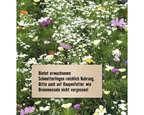 Blumenwiese mit dem Hinweis, ausreichend Nahrung für Schmetterlinge bereitzustellen und Raupenfutter wie Brennnesseln nicht zu vergessen.