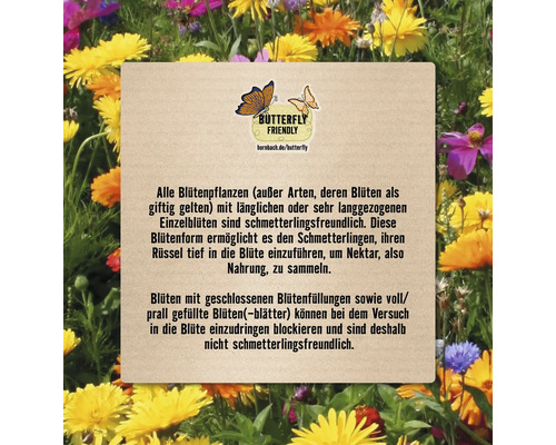 Informationstafel über schmetterlingsfreundliche Blütenpflanzen