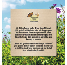 Informationstafel zum Thema schmetterlingsfreundliche Pflanzen