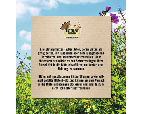 Informationstafel zum Thema schmetterlingsfreundliche Pflanzen