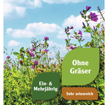 Blumenwiese mit ein- und mehrjährigen Pflanzen, ohne Gräser und sehr artenreich