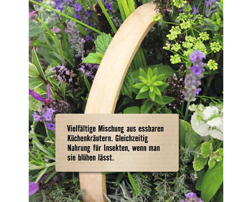 Verschiedene essbare Küchenkräuter in einem Korb, die auch Insektennahrung bieten.
