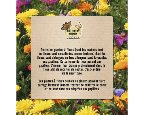 Informations sur les plantes amies des papillons