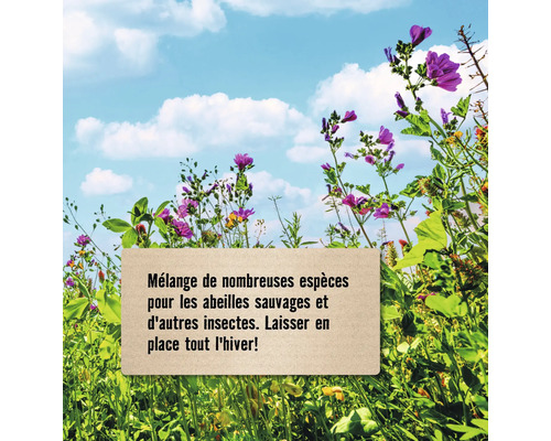 Mélange de fleurs sauvages pour abeilles et autres insectes