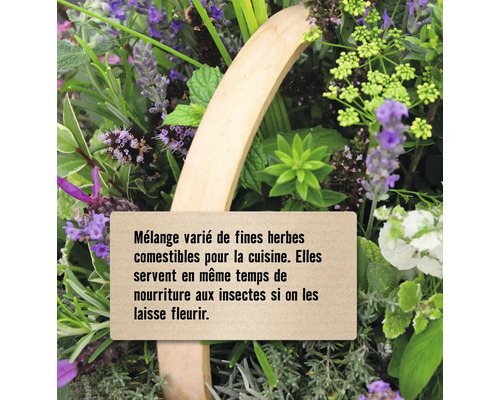 Mélange de fines herbes pour la cuisine