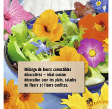 Salade avec mélange de fleurs comestibles en décoration