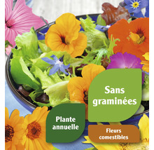 Salade de fleurs avec fleurs comestibles, mention d''une plante annuelle et sans céréales