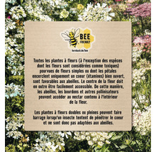 Informations sur la conception de jardins respectueux des abeilles et la sélection de plantes appropriées