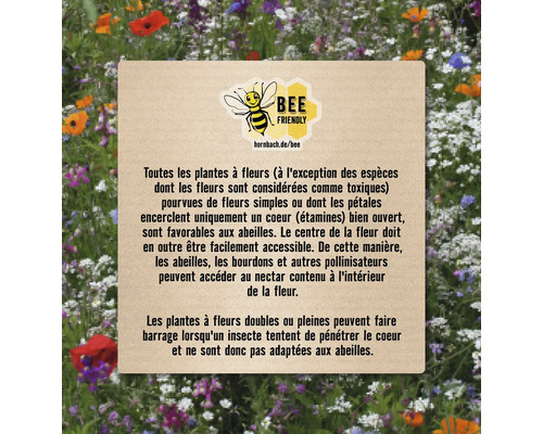 Informations sur l''aménagement des jardins favorables aux abeilles et la sélection des plantes appropriées.