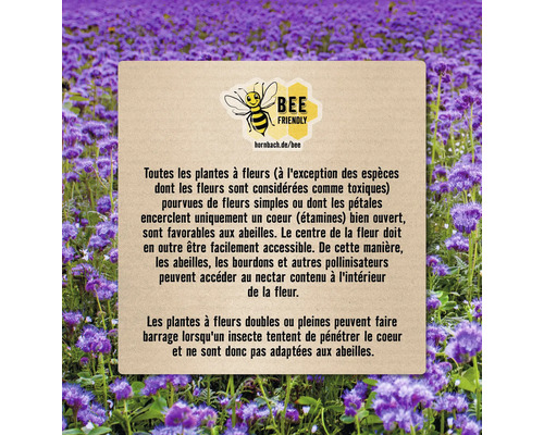 Informations sur les plantes amies des abeilles