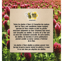 Informations sur les plantes amies des abeilles