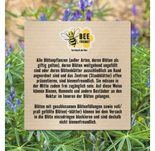Informationstafel zum Thema bienenfreundliche Pflanzen