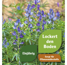 Blühende Lupinenpflanze. Symbol: Lockert den Boden. Symbol: Einjährig. Symbol: Sorgt für Pflanzennährstoffe.