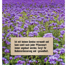 Feld mit blühendem Bienenfreund zur Bodenverbesserung