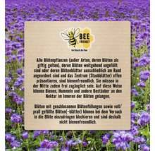 Informationen zu bienenfreundlichen Pflanzen und Blüten