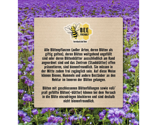 Informationen zu bienenfreundlichen Pflanzen und Blüten