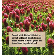 Feld mit Rotklee und Hinweis zum Sammeln von Stickstoff aus der Luft