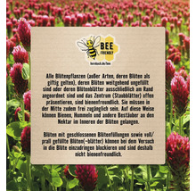 Informationen zu bienenfreundlichen Blumen