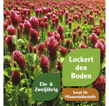 "Feld mit Inkarnatklee, der den Boden lockert und für Pflanzennährstoffe sorgt