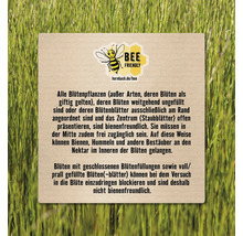 Informationstafel mit Text zur Bienenfreundlichkeit von Blütenpflanzen